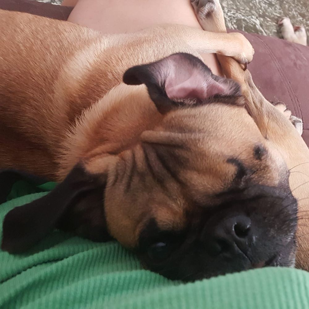 Meet your Posher, Valerie